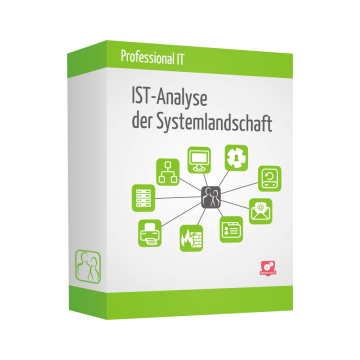 Professional IT – IST-Analyse der Systemlandschaft